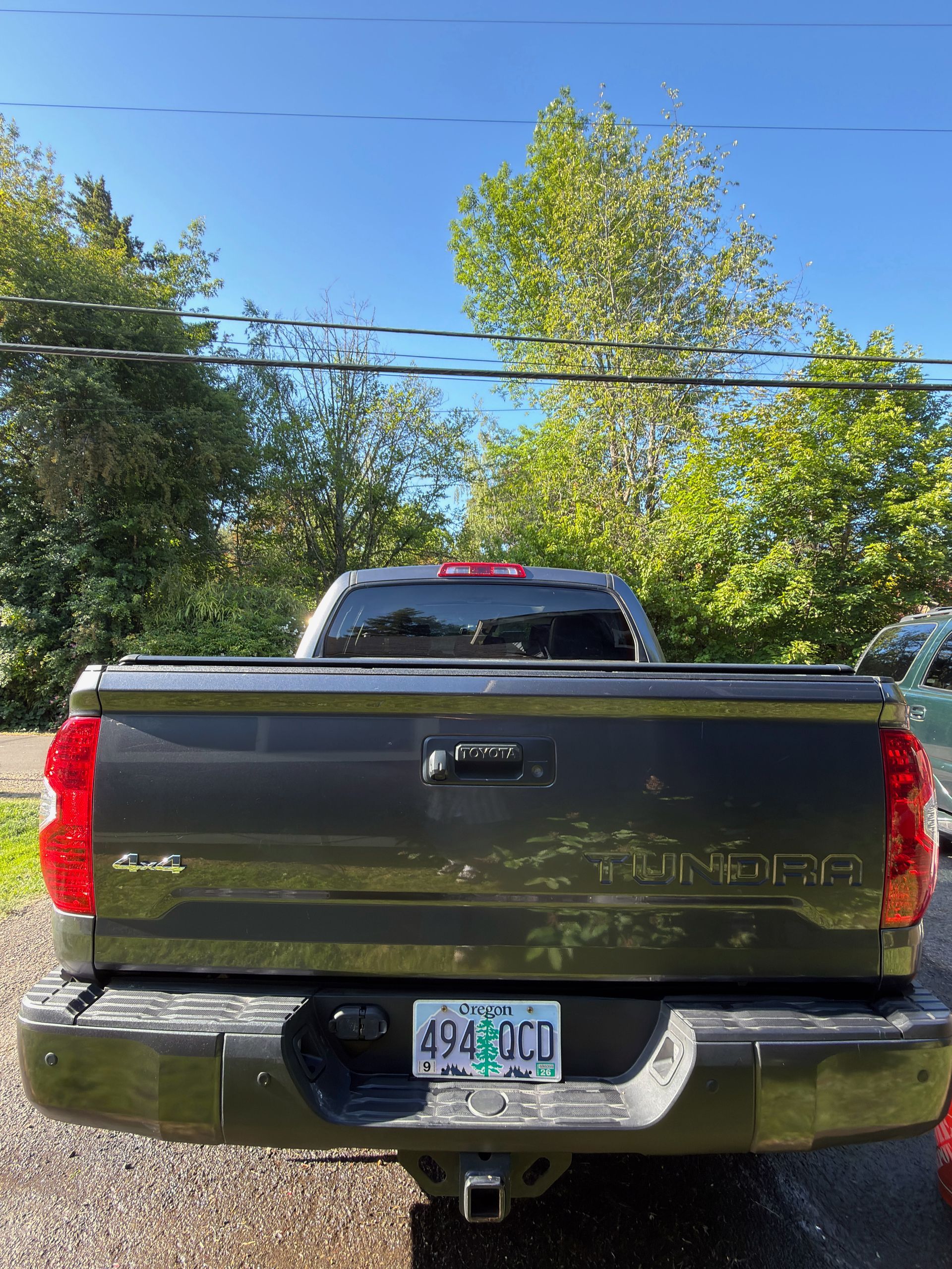 Black pickup truck seen from the rear, parked outdoors with trees and blue sky behind it.