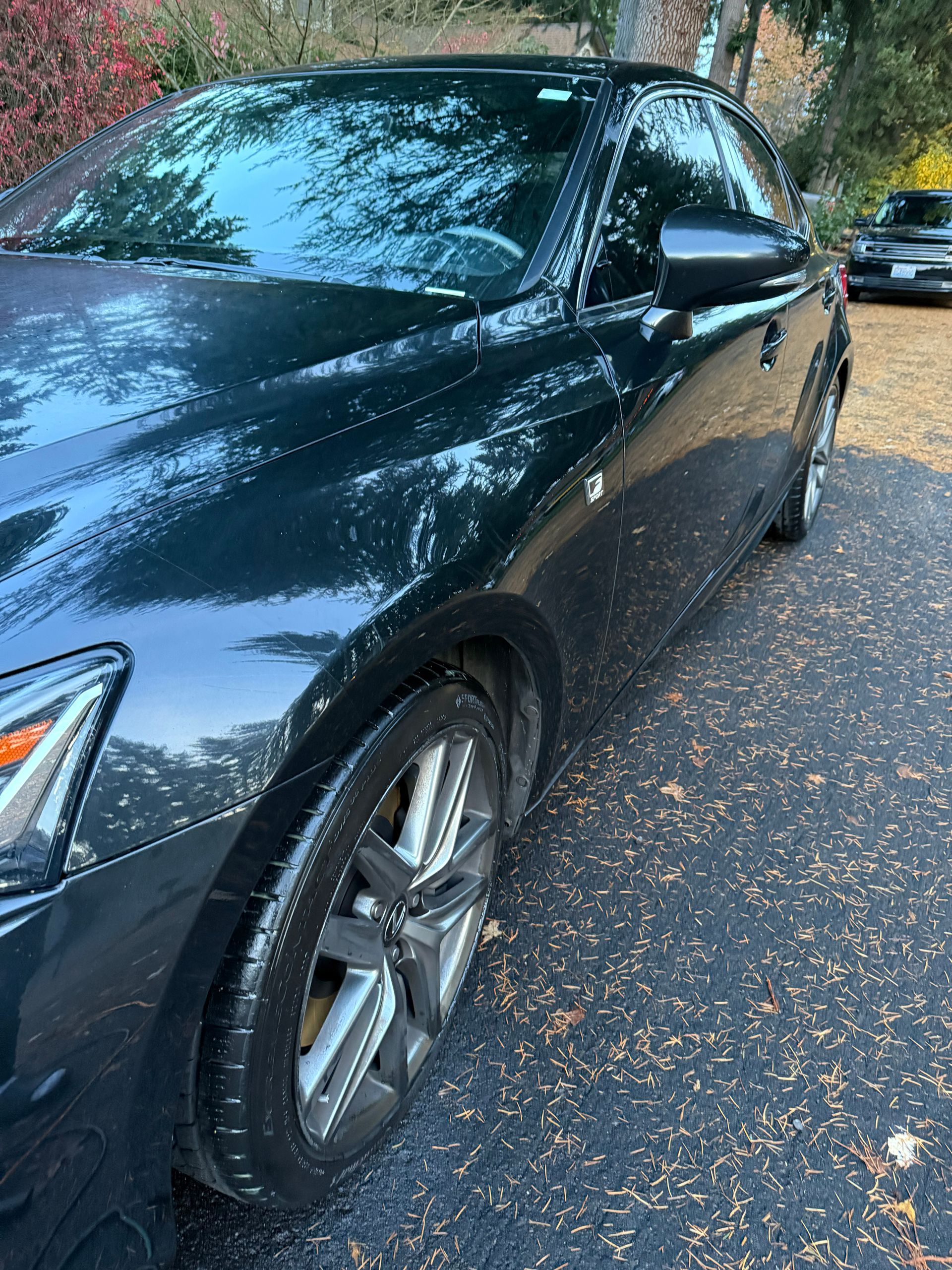Black sedan parked on a leaf-covered street beside trees