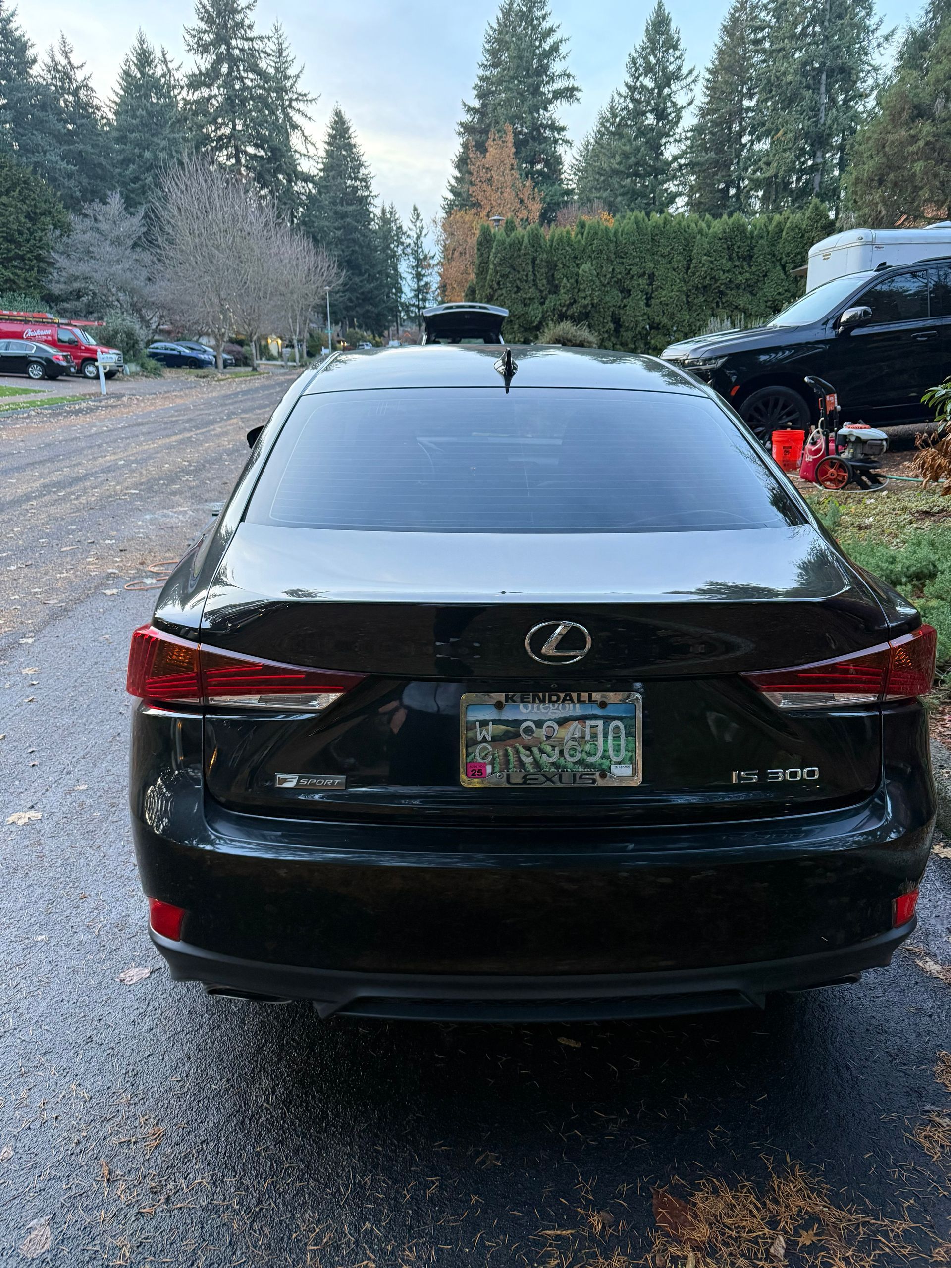 Black Lexus sedan parked on a wet lot, rear view, with trees and other cars in the background