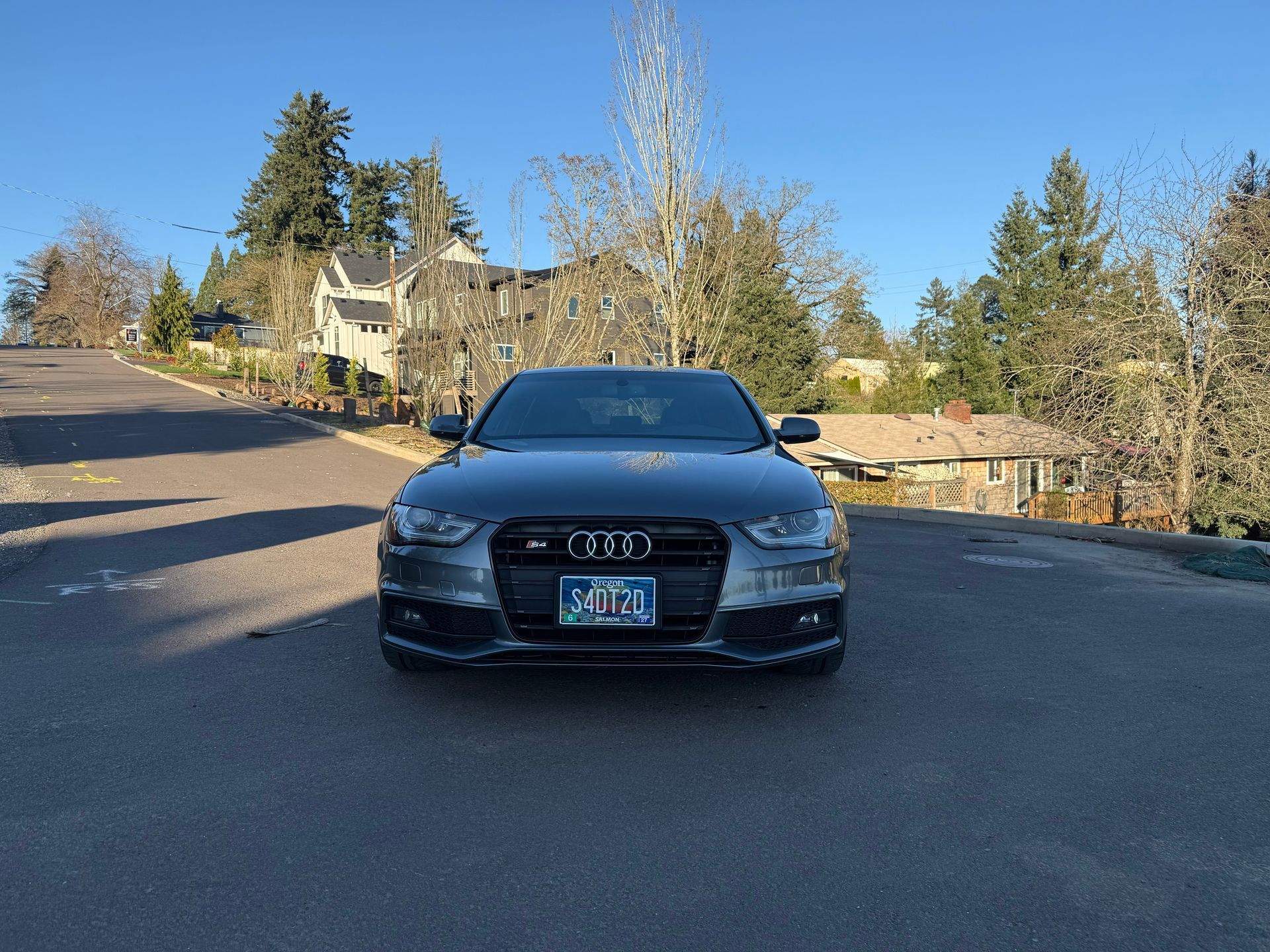 Black Audi sedan parked on a sunlit suburban street with trees and houses in the background