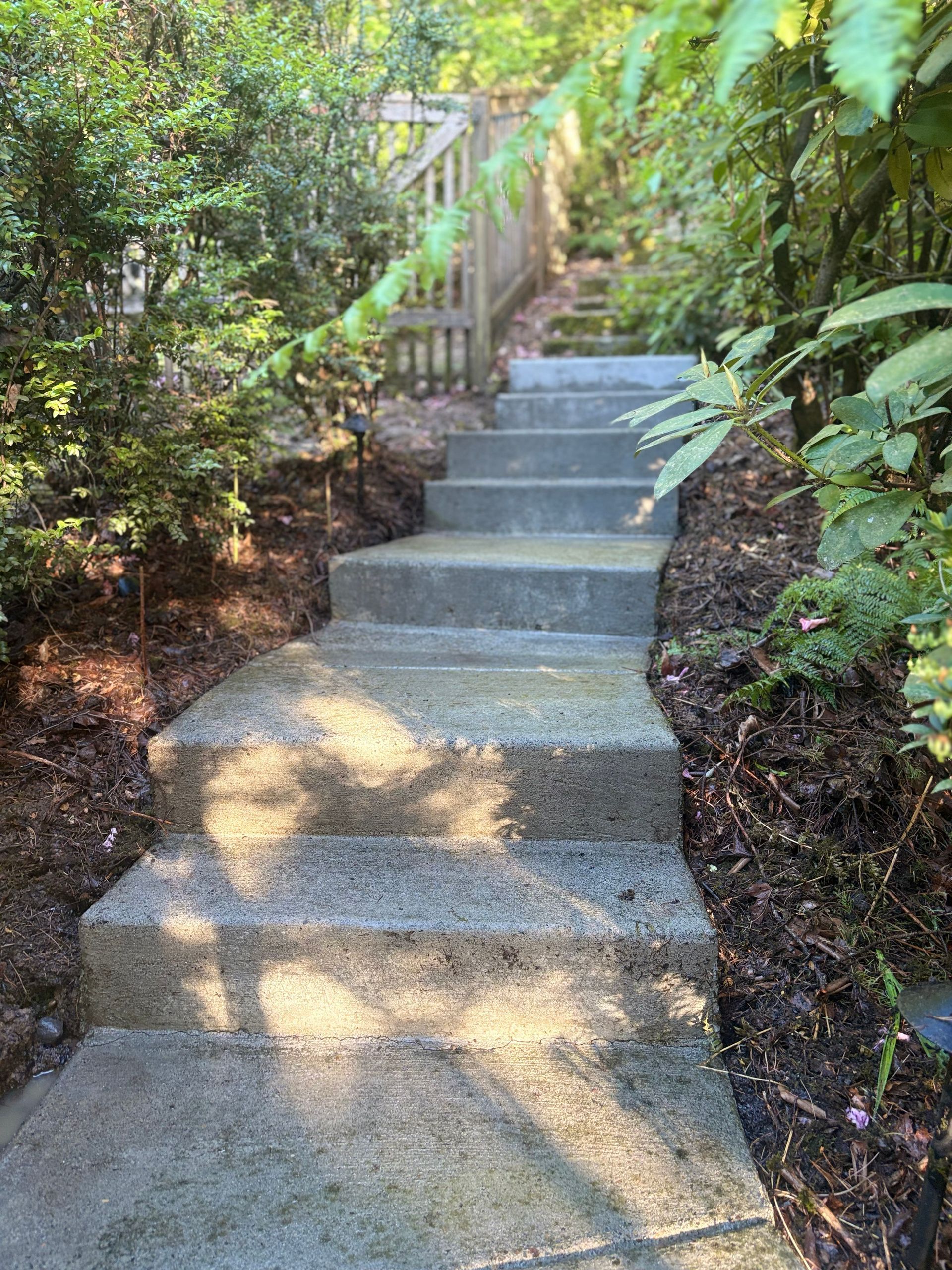Concrete steps up a shaded garden path with a wooden railing and dense greenery