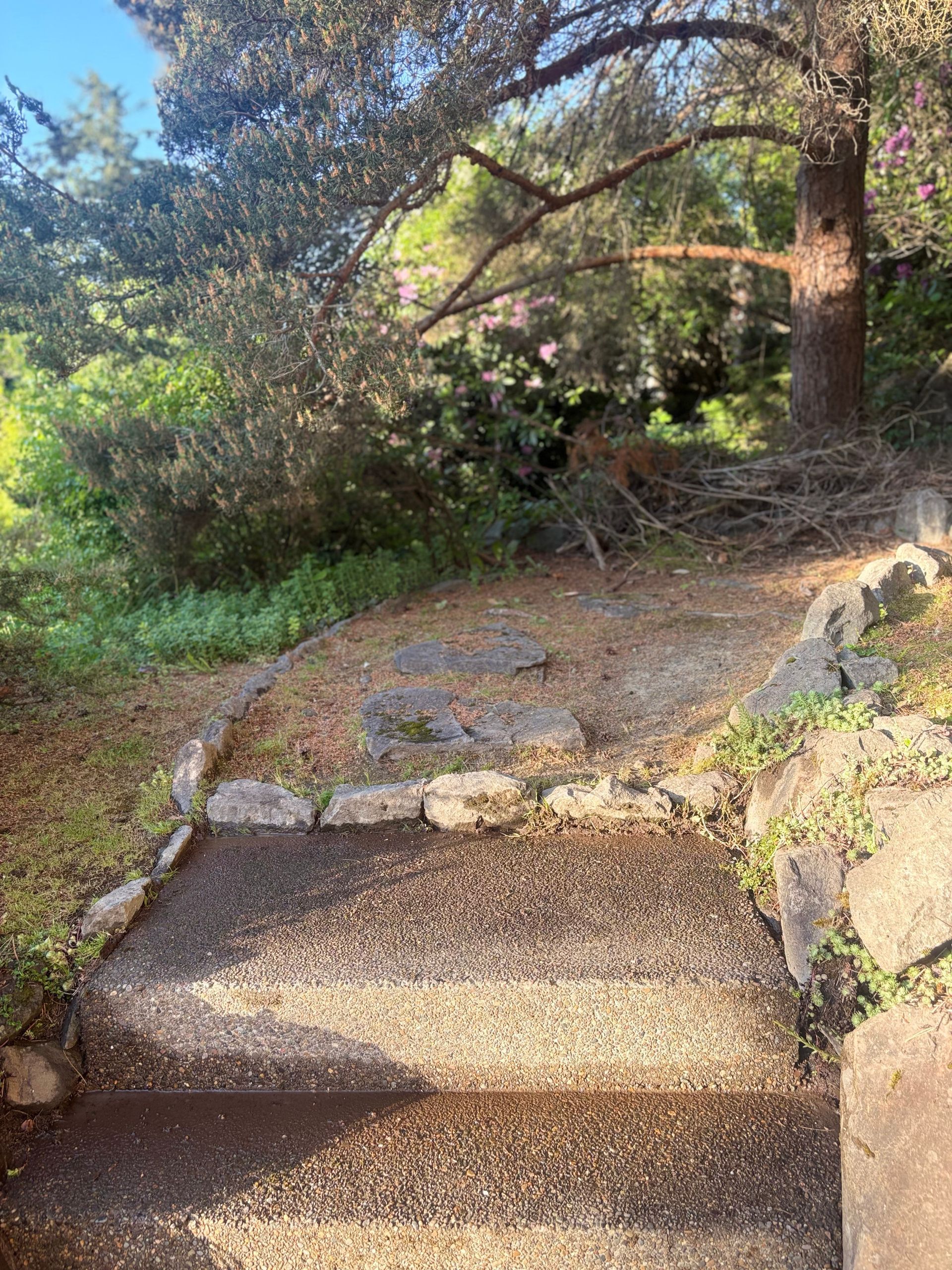 Gravel steps on a shaded hillside trail with rocks, shrubs, and trees overhead
