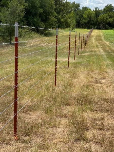 Barbed wire ranch fence running across open pasture.