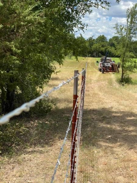 barbed wire fencing in pasture