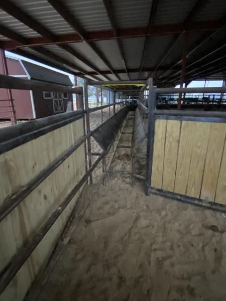 indoor fence
