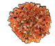 Chopped salsa, containing red tomatoes, green onions, and white onions.