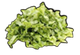 Chopped green lettuce on a dark surface.