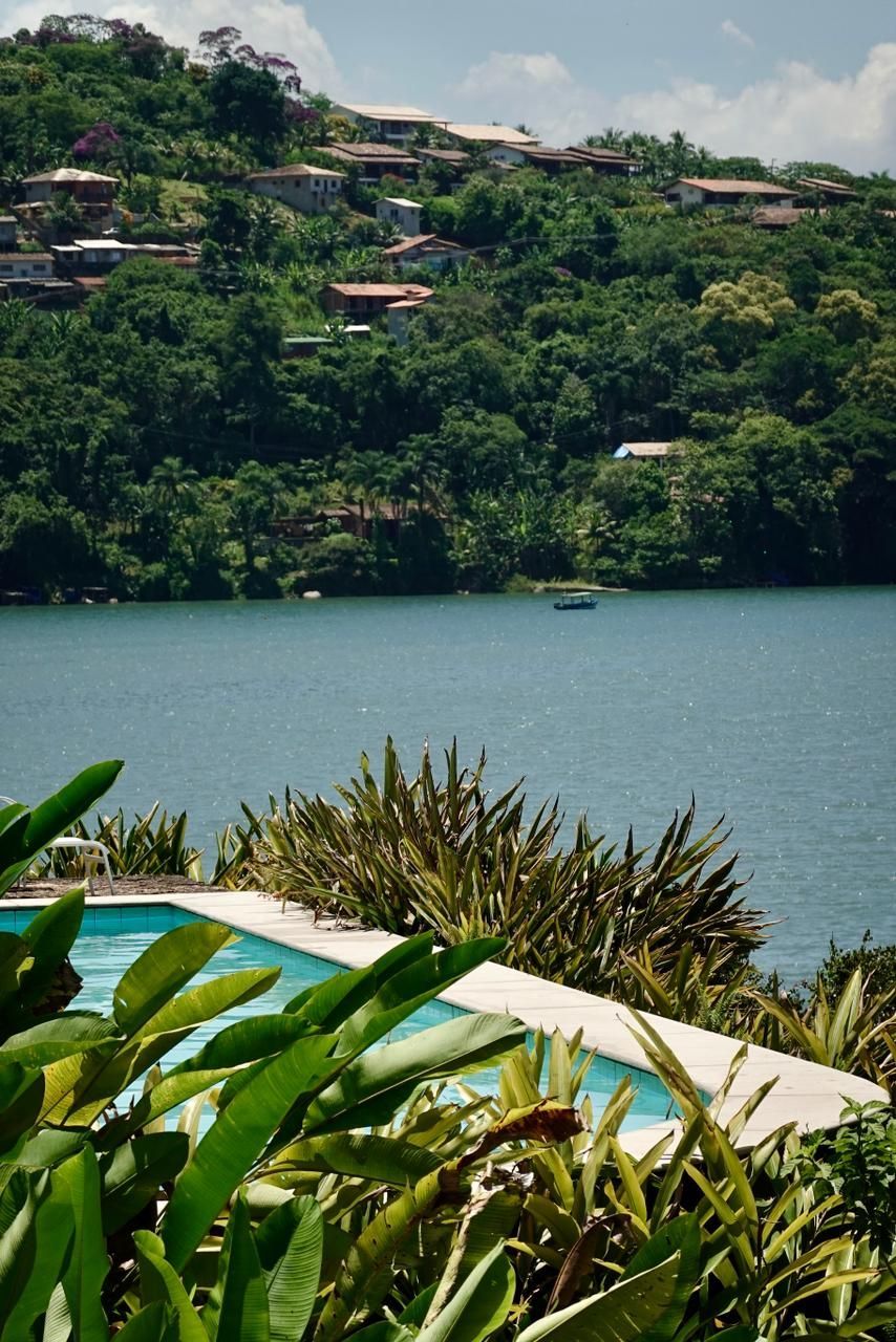 Encosta exuberante com vista para um lago azul tranquilo, com plantas verdes em primeiro plano sob um céu claro.