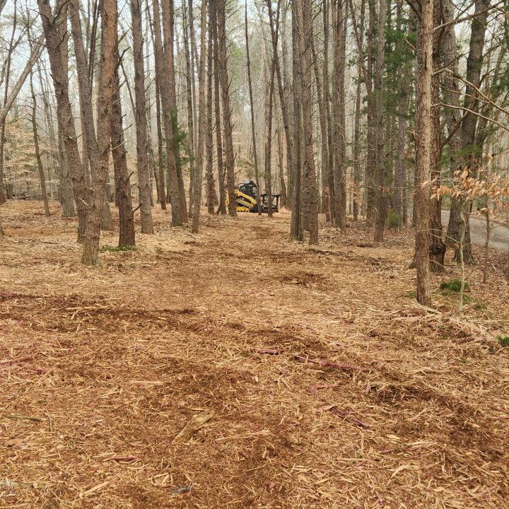 Mulch Spread in the Forest