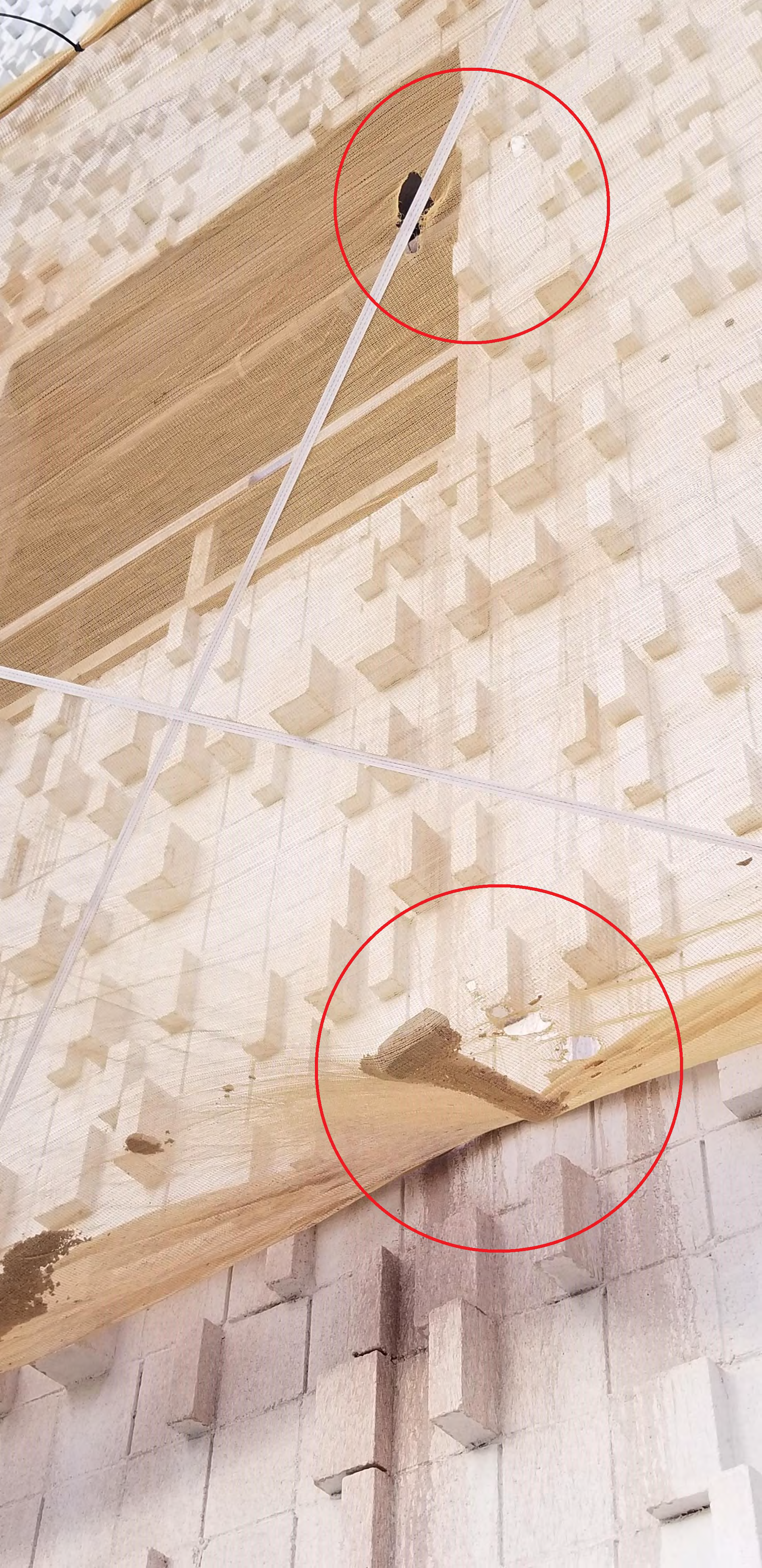Upper detail of a project photograph showing a tear in construction containment netting.