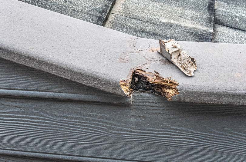Deep wood decay exposed beneath the painted cap of a lanai railing.