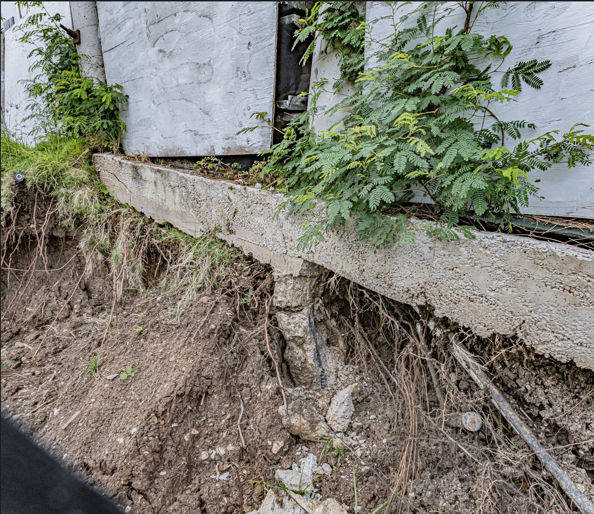 Exposed soil and roots beneath a concrete grade beam reveal a short embedded support below the failed fence.