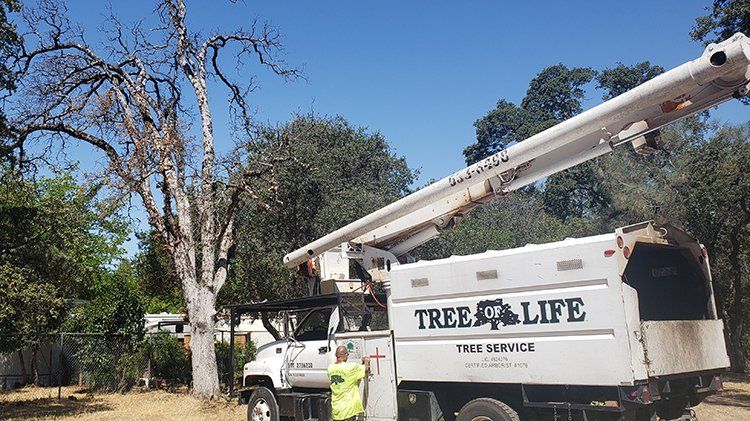 Service Vehicle On Work — Oroville, CA — Tree of Life Tree Service