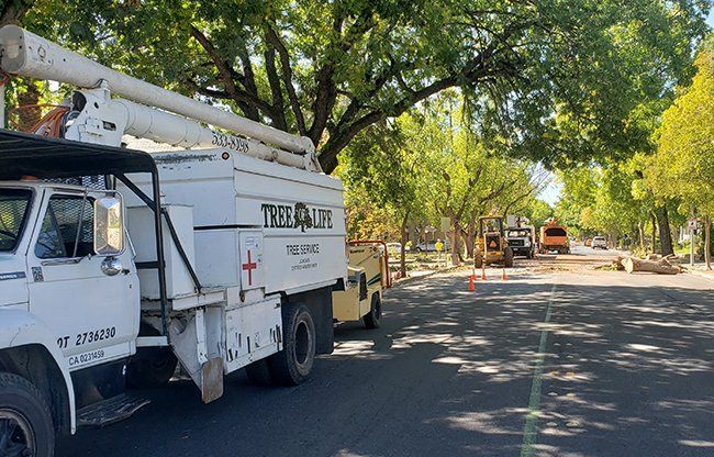 Tree Service Vehicle — Oroville, CA — Tree of Life Tree Service