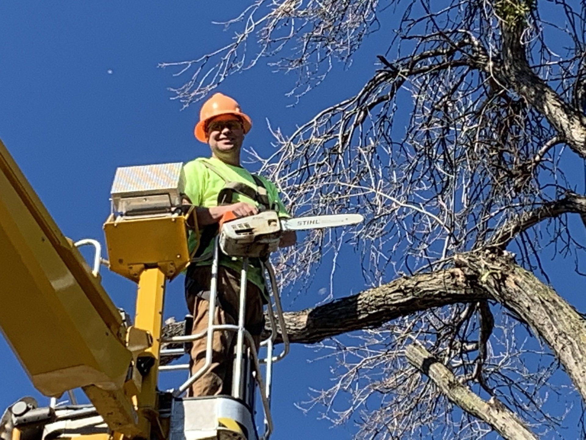 Worker With A Small Chainsaw — Oroville, CA — Tree of Life Tree Service