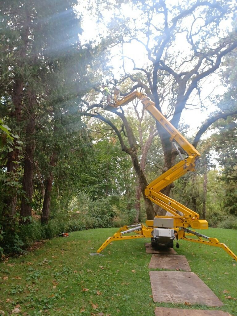 Machine Technology Use For Trimming Tree — Oroville, CA — Tree of Life Tree Service