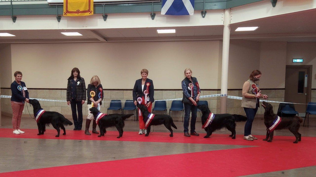 Best In Show Line Up April 2022