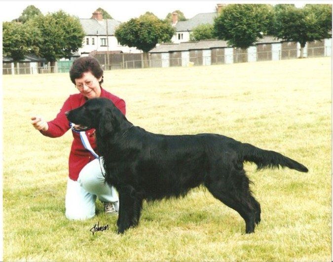 Sh Ch Branchalwood Strathfinnan JW (2002)