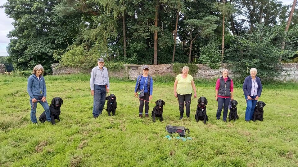 FRCS Gundog Training Group 2021
