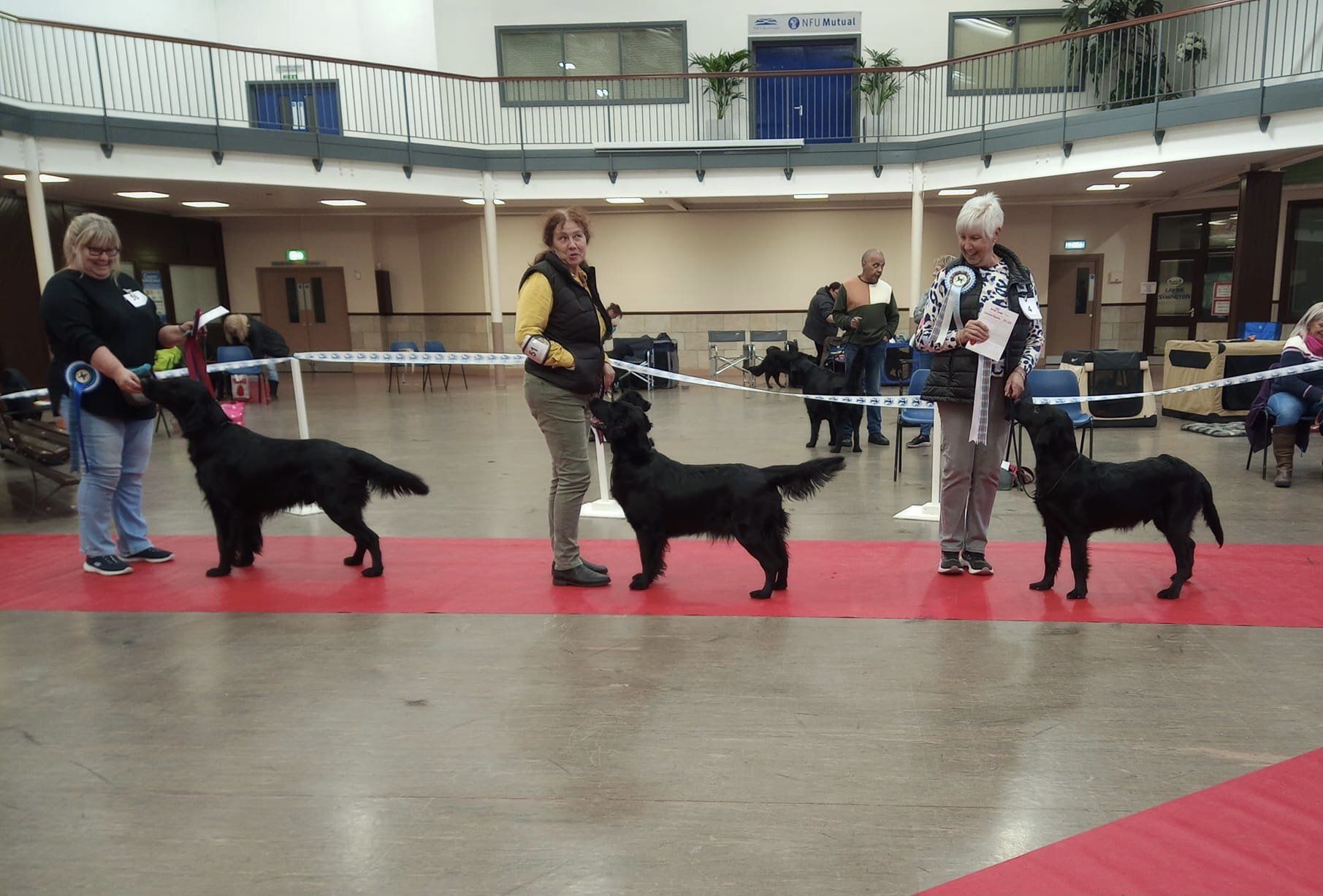 Best In Show Line Up April 2022