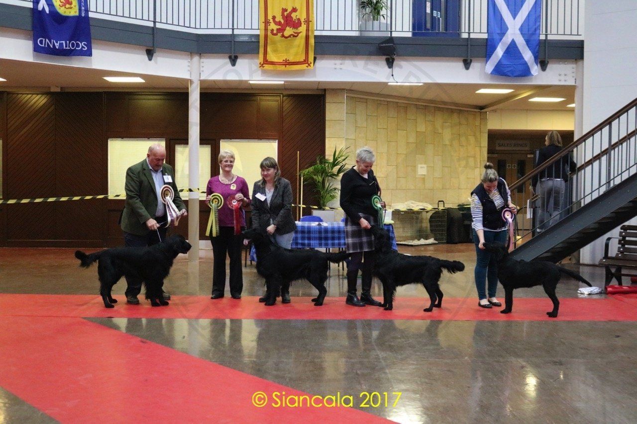 Best in Show Line Up Oct 2017 Best in Show Line Up Oct 2017