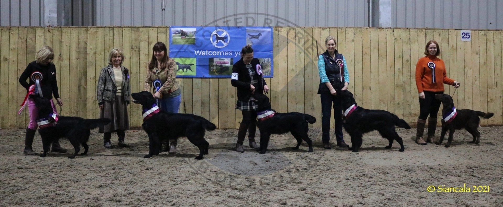 Best in Show Line Up November 2021 FRCS Best in Show Line Up November 2021