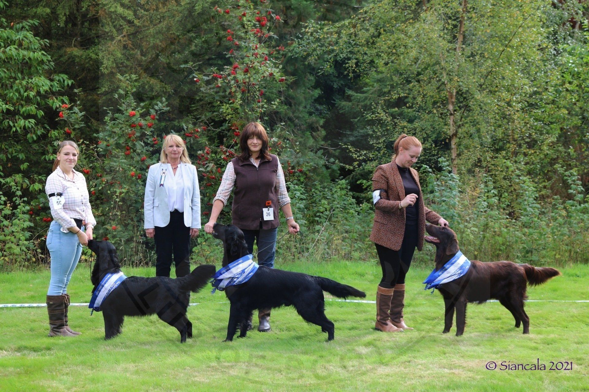 Best in Show Line Up September 2021 FRCS Best in Show Line Up September 2021