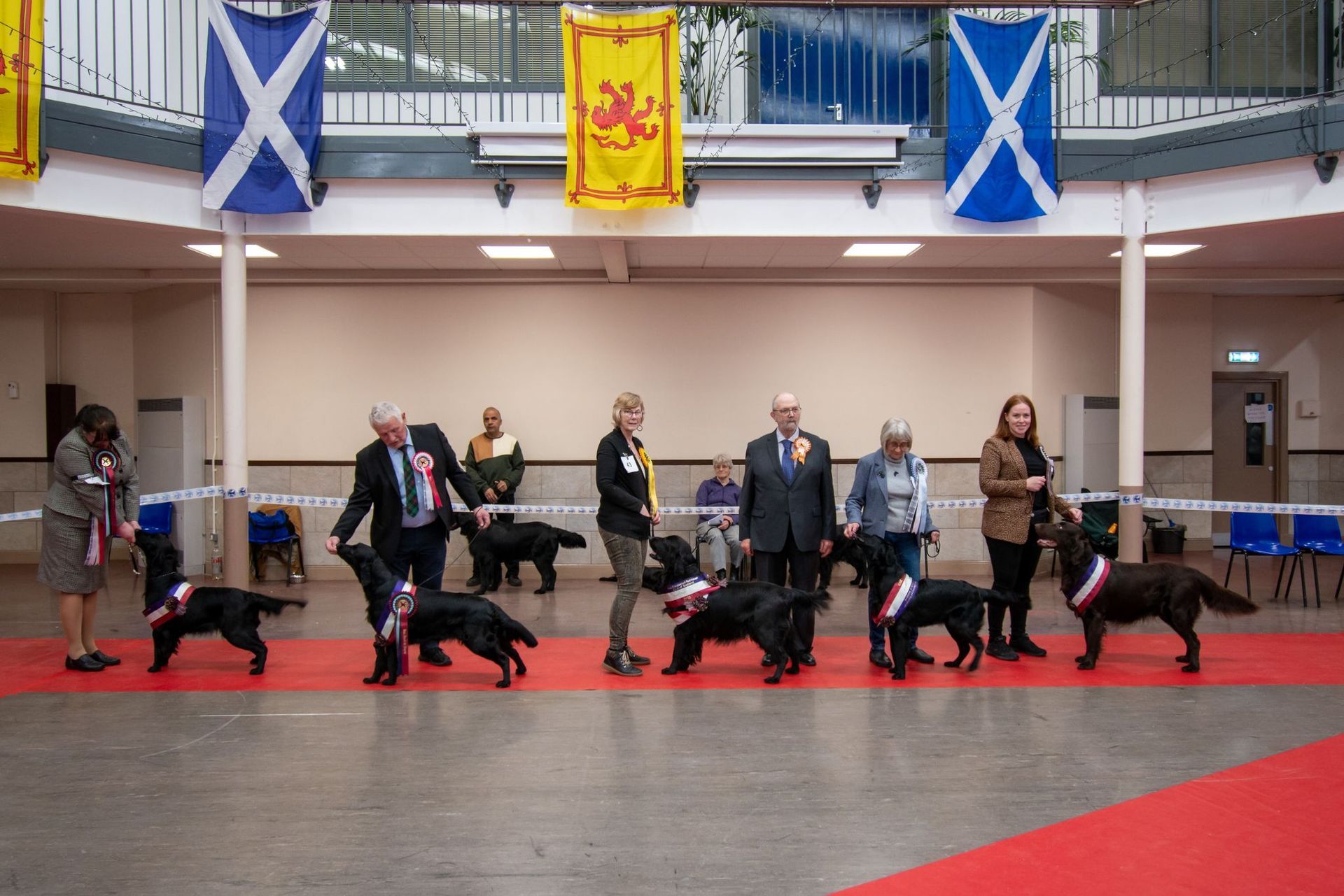Best In Show Line Up April 2022