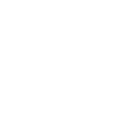 logo-image