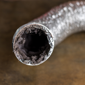 Close-up of a frayed silver braided hose with a dark hollow opening at the end