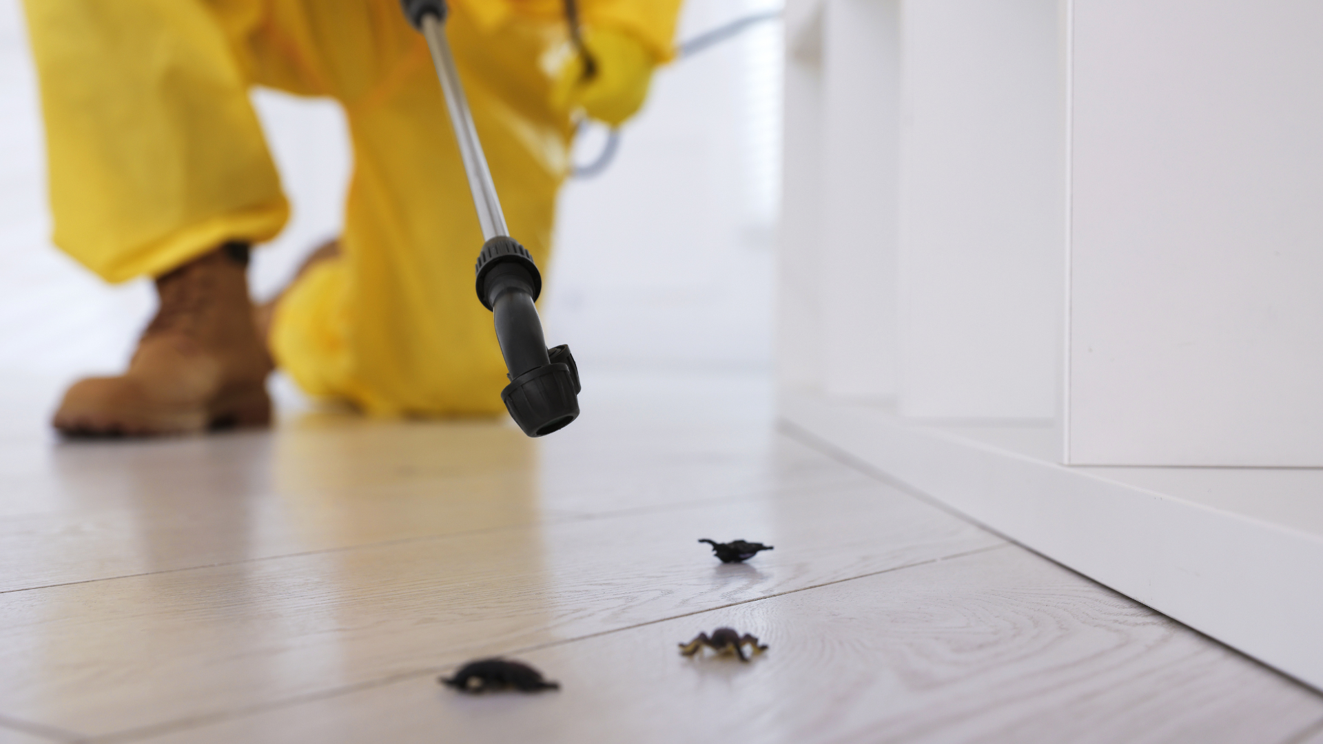 Person in yellow cleaning up pet droppings with a black scoop on a light wooden floor