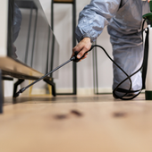Technician in protective suit spraying pesticide along a floor near furniture