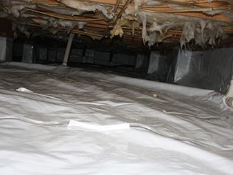 Insulation-filled crawl space with white plastic sheeting covering the floor