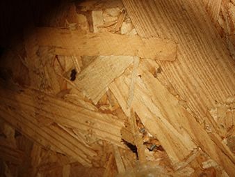 Close-up of rough tan wood chips and strands with a few dark gaps