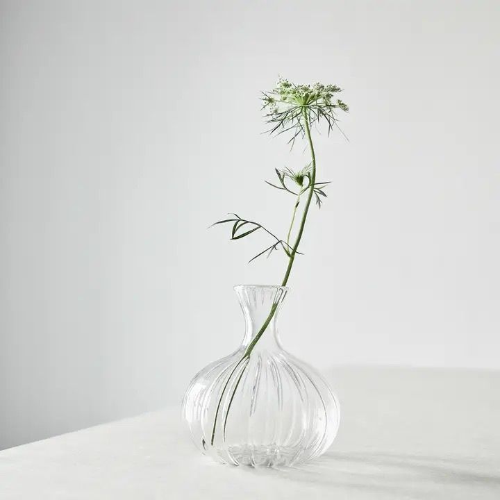 Een klein groen plantje in een doorzichtige glazen vaas op een witte tafel tegen een lichte achtergrond.