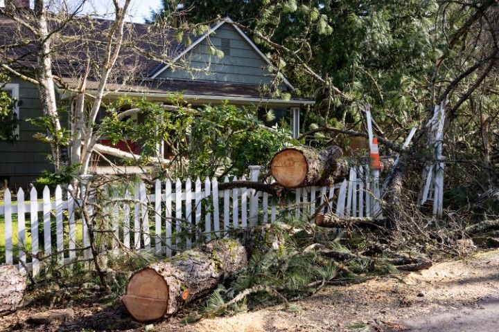 Fallen tree debris on a white picket fence, in front of a house.