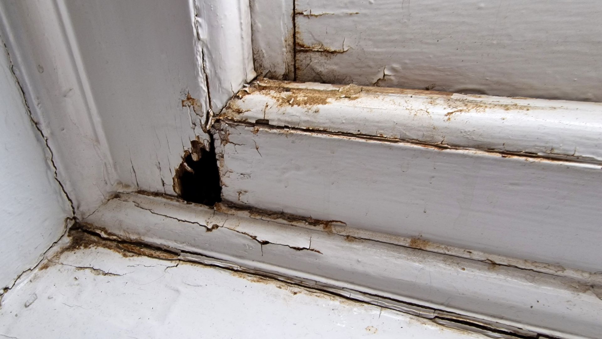 White window frame with peeling paint and dark mildew in the corner and along the sill