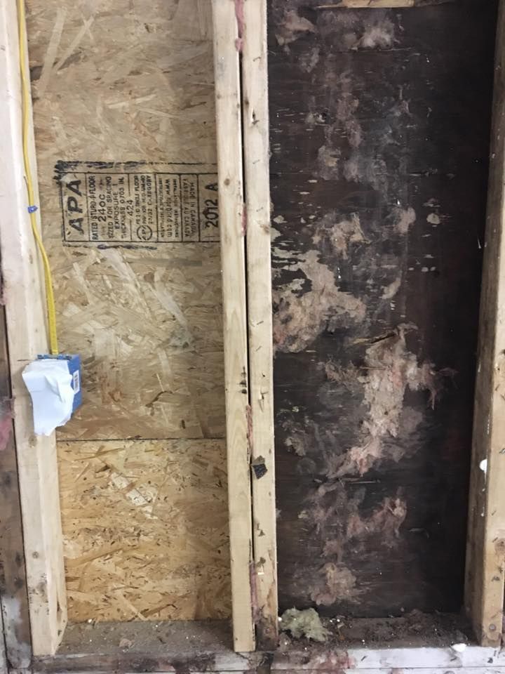 Framed wall interior with OSB sheathing, dark insulated section, and a small blue cloth on the left side.