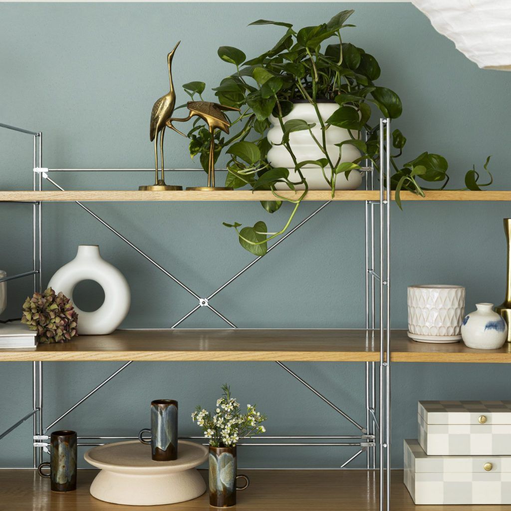 A trendy green painted wall with a bookshelf and white decorative pieces.
