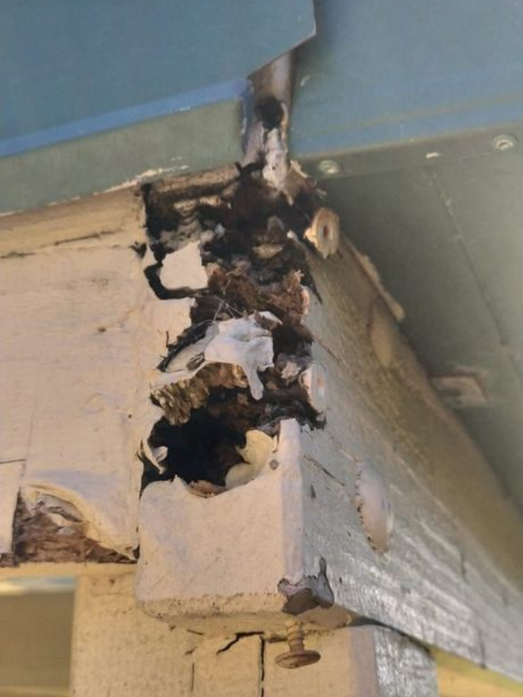 A closeup of the trim on a home's exterior corner halfway missing because of wood rot. 