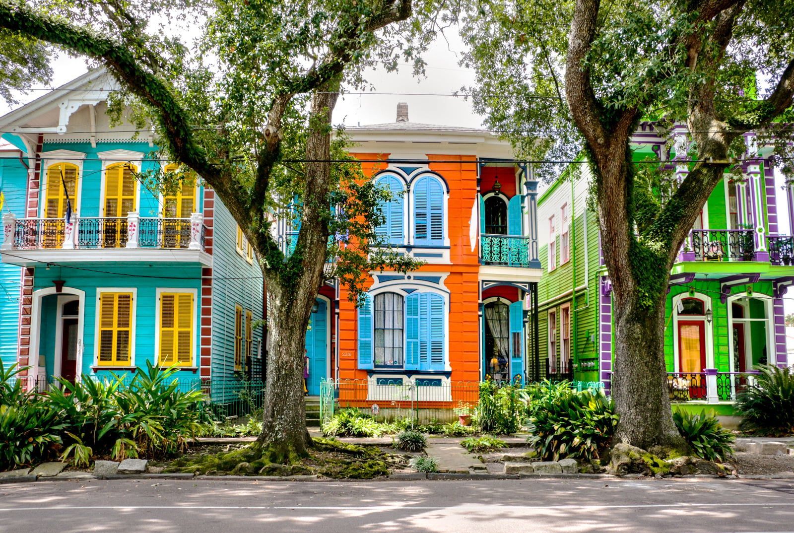 Colorful row of historic houses with teal, orange, and green facades behind trees on a quiet street