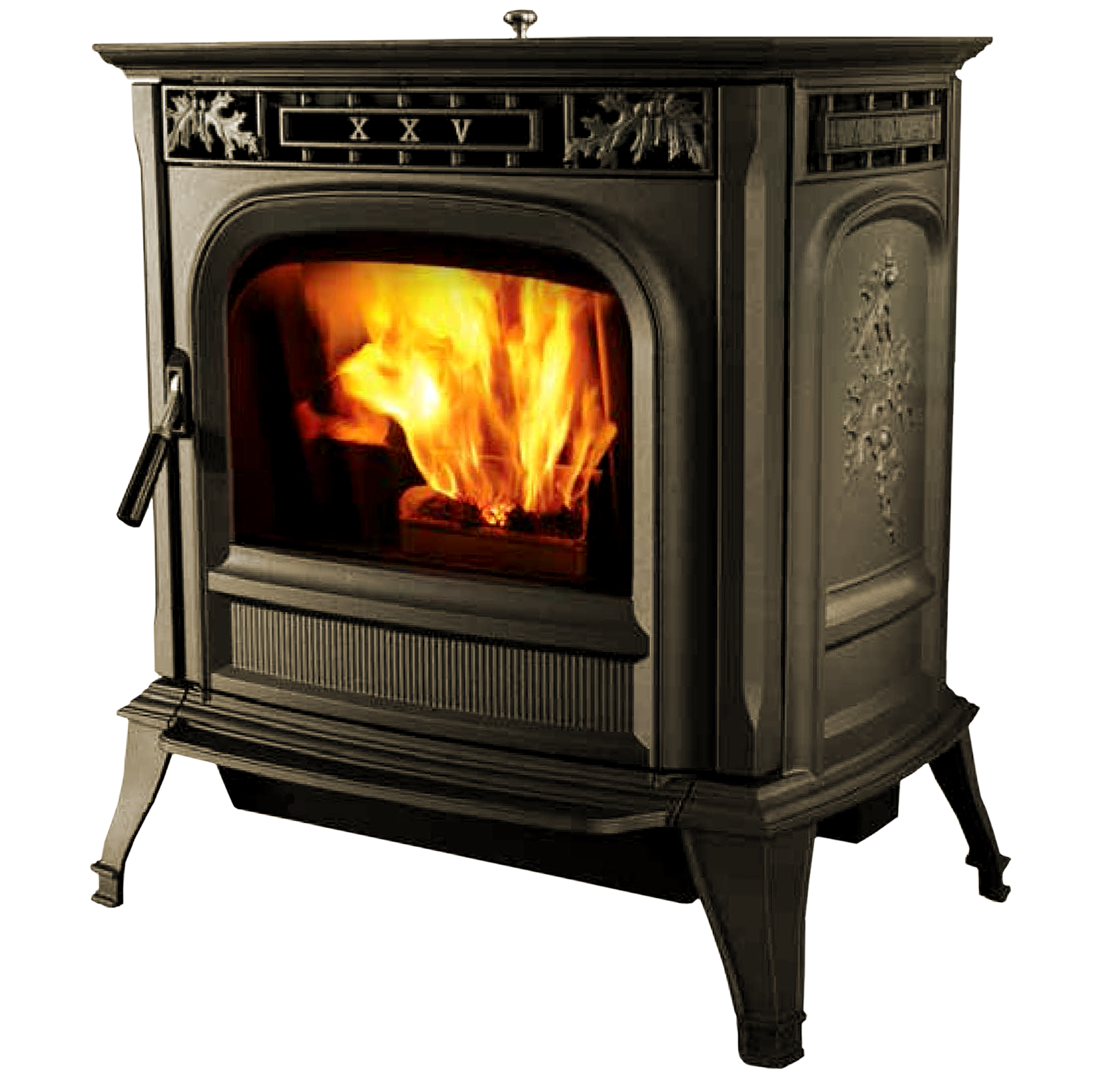 pellet stove that burns wood pellets