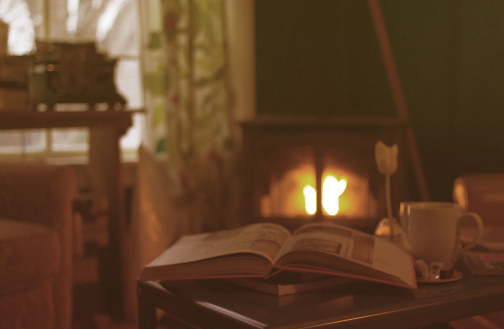 A wood stove burning pellets