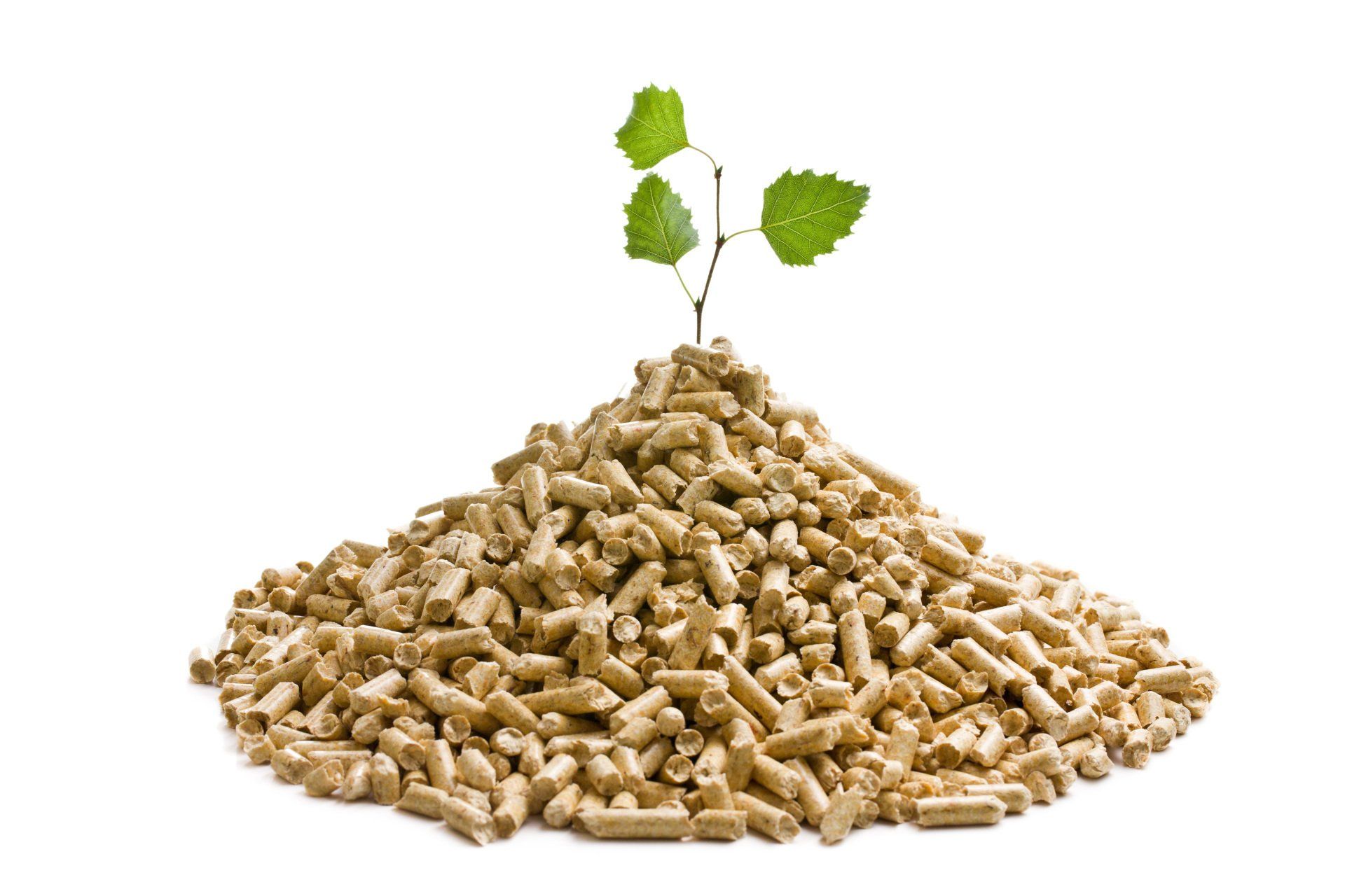 pile of pellets with a tree growing out of it