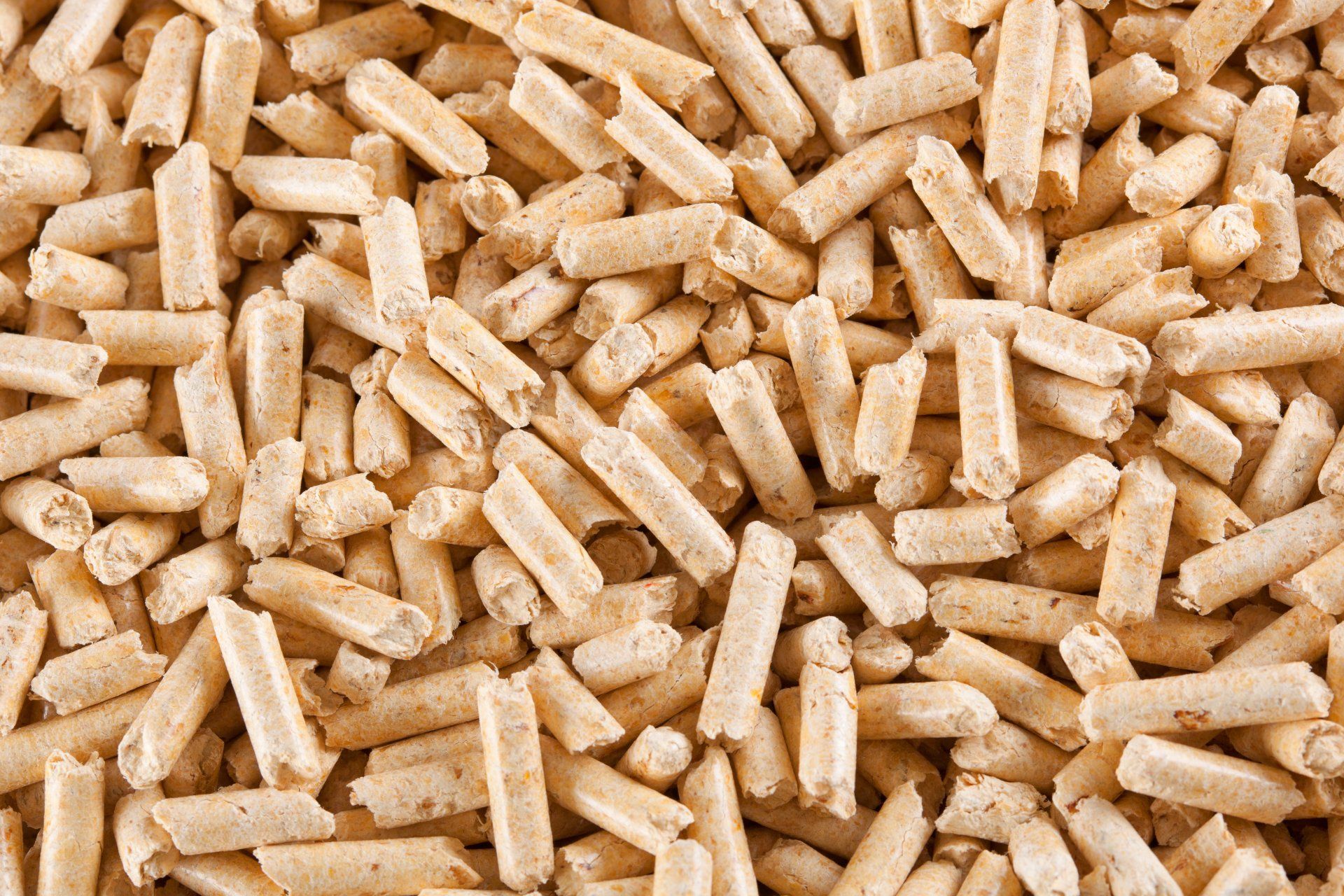 pile of hardwood woodpellets