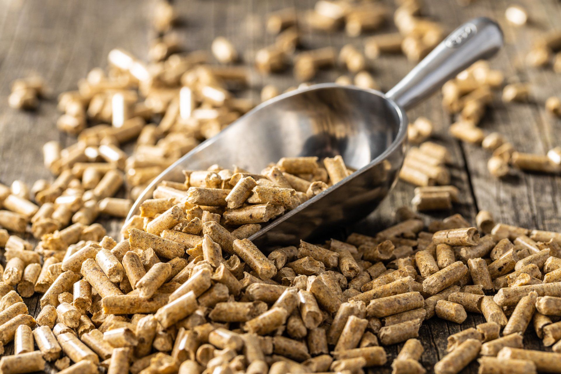 scoop in a pile of pellets on wood floor