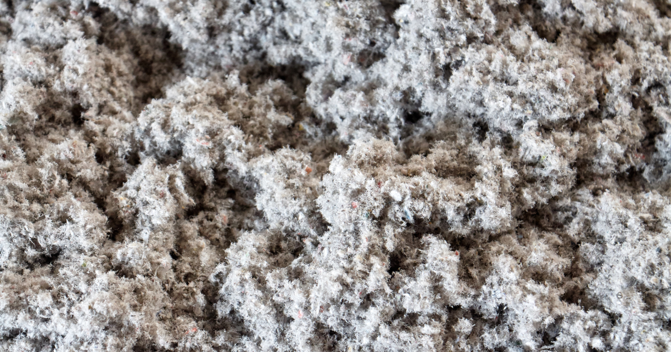 A close up of a pile of eco-friendly cellulose
