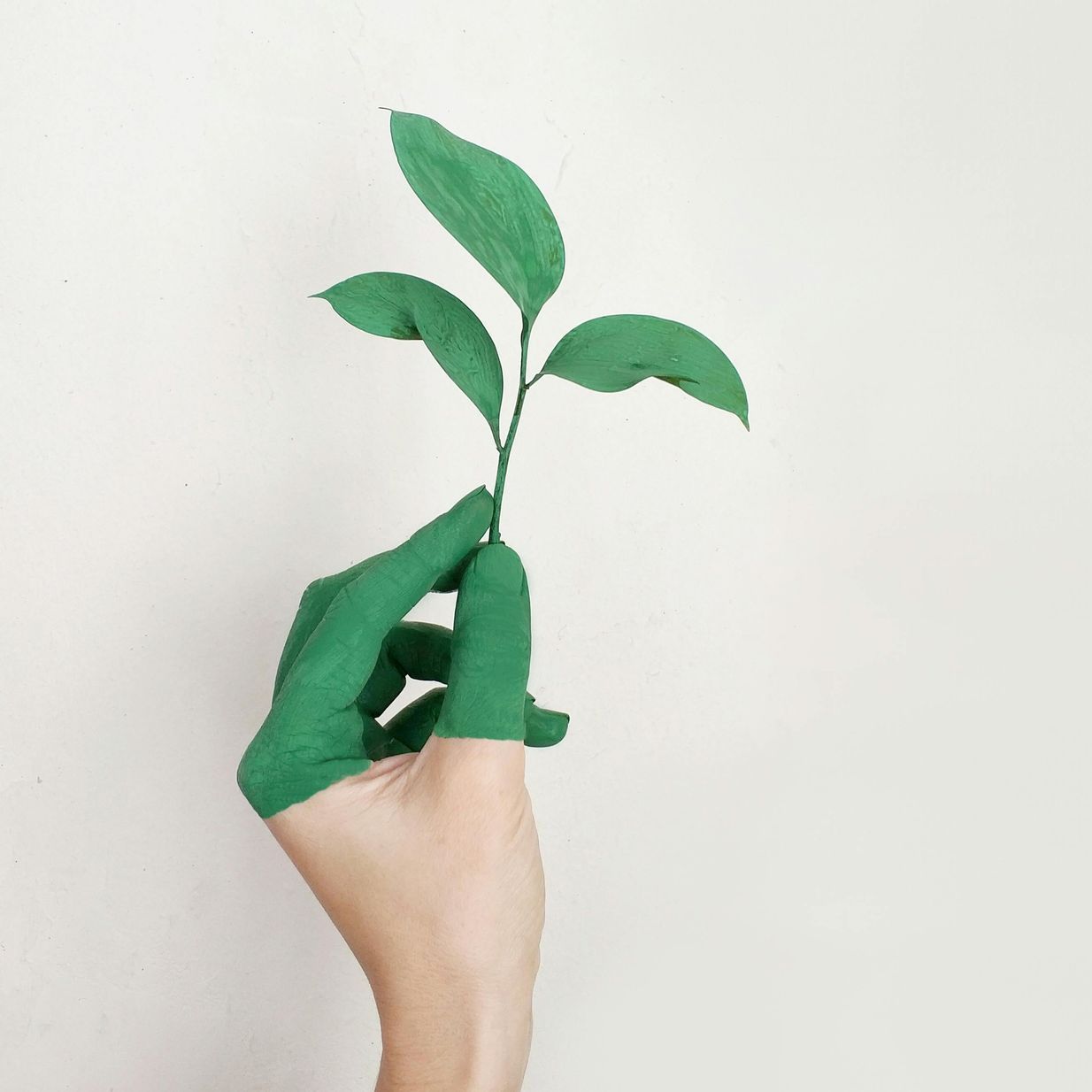 Eco-Friendly and Sustainable icon