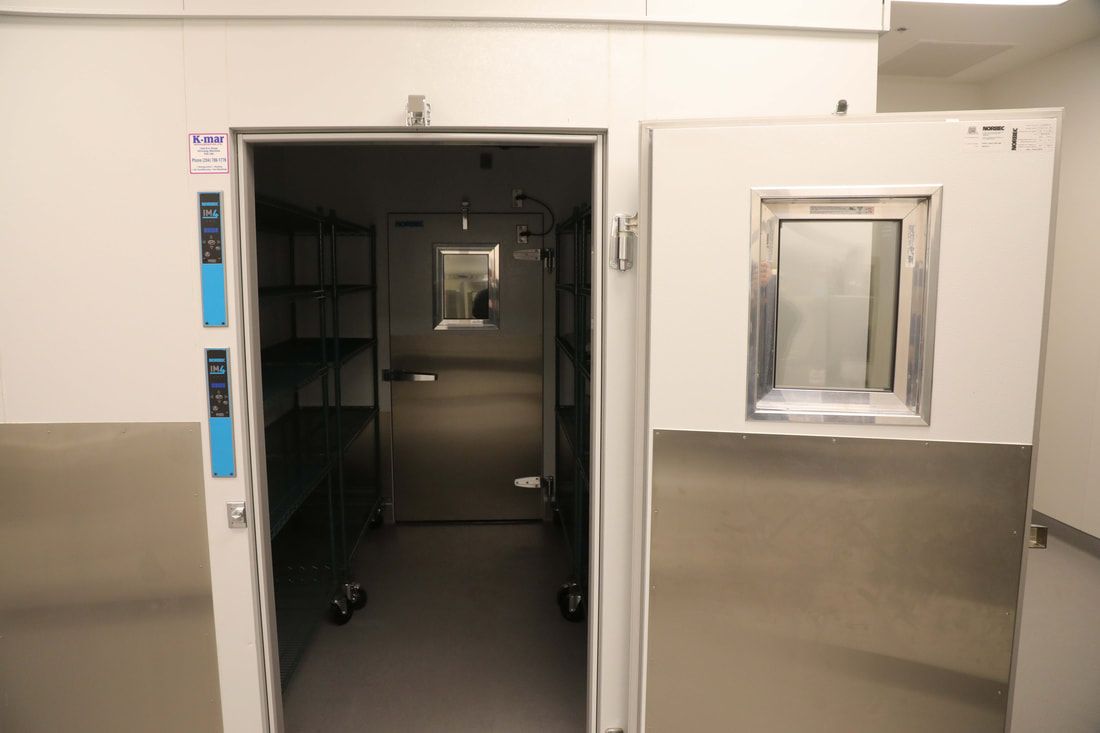 A room with a door that is open and a window