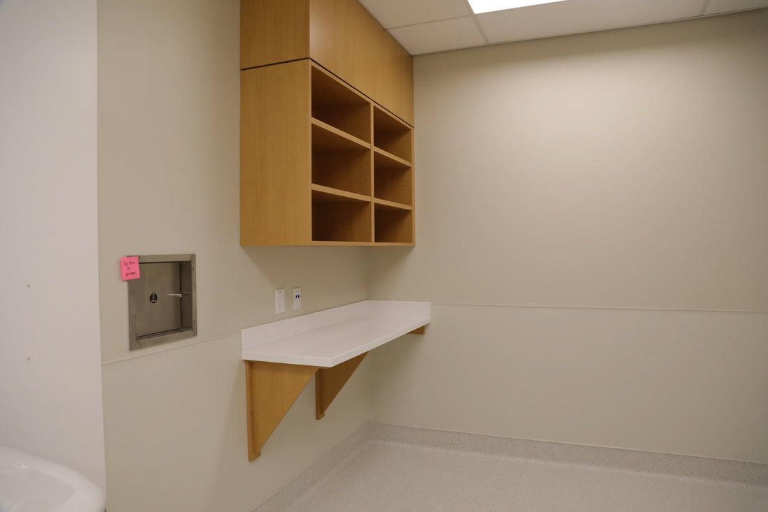 An empty room with shelves and a toilet
